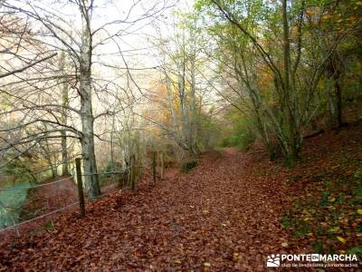 Parques Naturales Urbasa-Andía y Aralar - Nacedero del Urederra; viajes fines de semana